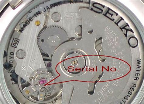 how to identify seiko watch model.